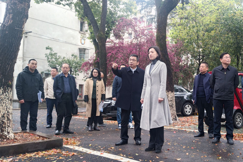 指导明方向,践行促成长丨周艳希副市长一行莅临我校指导工作