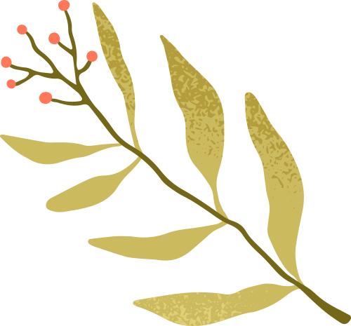 DM_20250517234432_004.png