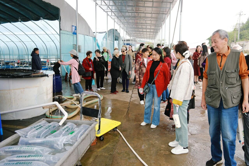 1762780399101243.jpg DM_20251110210642_016.jpg